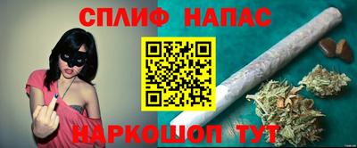 jwh Пенза