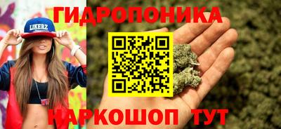 jwh Пенза