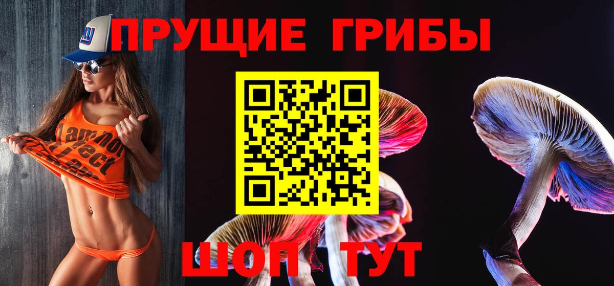 Псилоцибиновые грибы Psilocybine cubensis Первоуральск